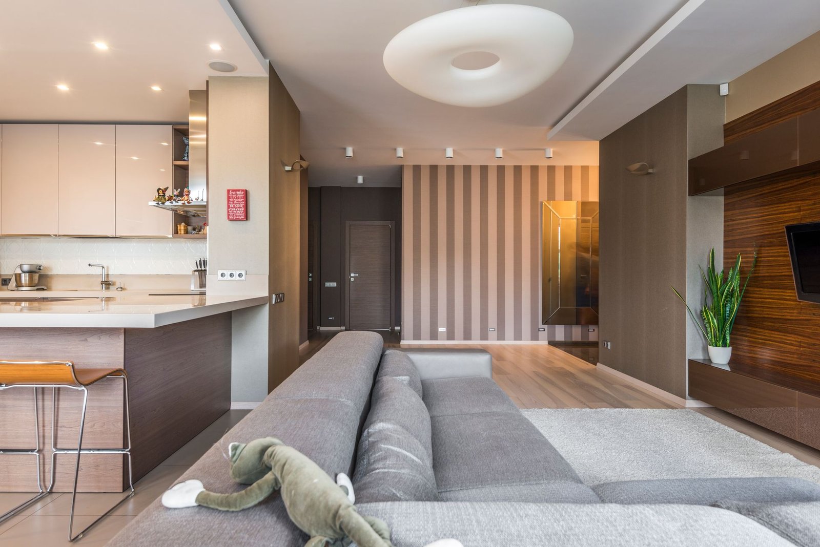 Séjour lumineux avec cuisine ouverte dans un logement meublé